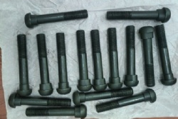 Track bolt